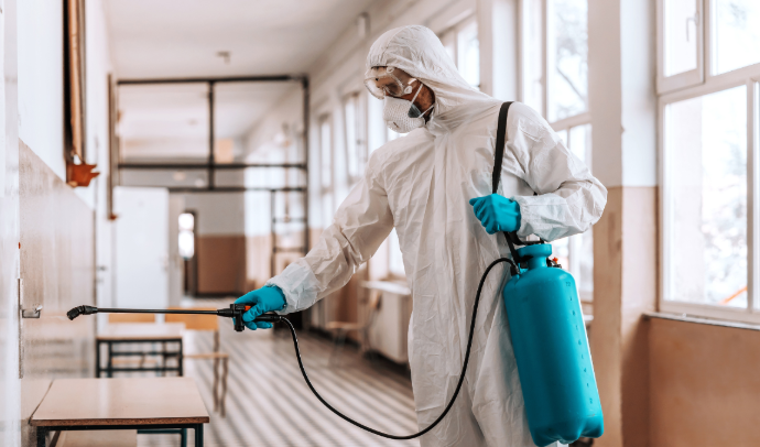 What Are the Signs That You Need Termite Control in Port Orange?