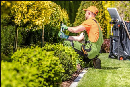 7 Key Advantages of Working with a Professionally Qualified Landscape and Garden Designer for Your Property