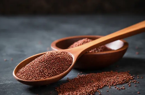 7 Reasons Global Buyers Are Turning to Organic Millet Wholesale Suppliers in 2026