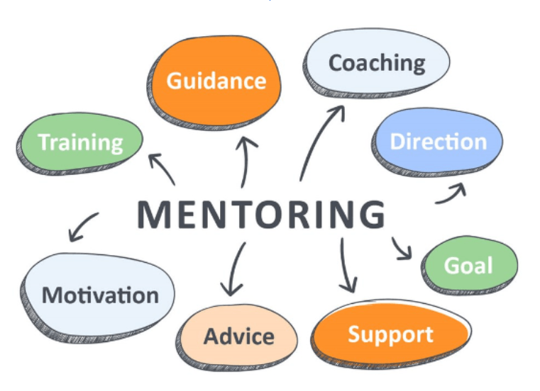 The Role of Executive Coaching and Training in Employee Development